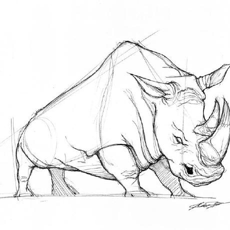 GitHub profile image of rhino88